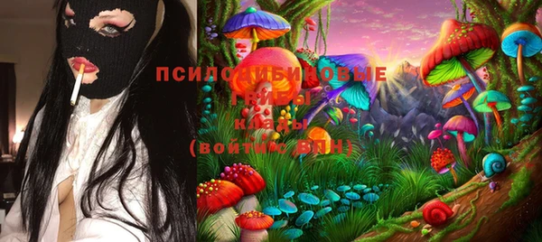 хмурый Алзамай