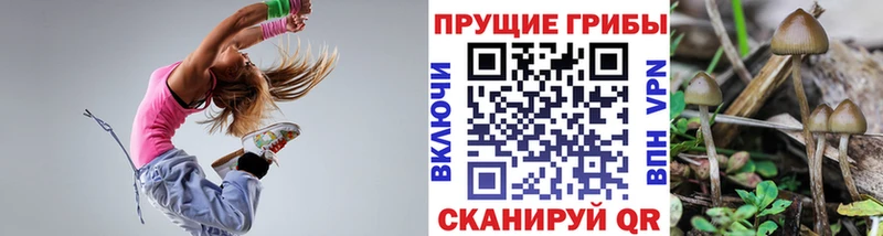 Галлюциногенные грибы Psilocybe  Воткинск 
