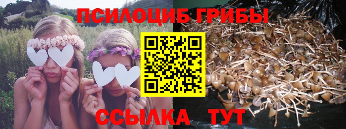 Галлюциногенные грибы Cubensis Воткинск
