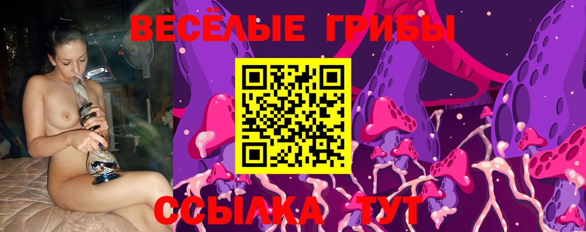 Псилоцибиновые грибы прущие грибы  Вход с VPN  Воткинск 
